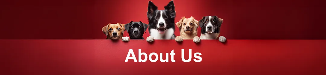 About Pupps & Stud