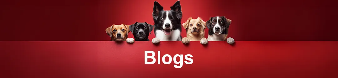Pupps & Stud blog
