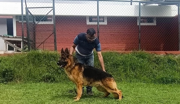 Breeder selection advice example 6